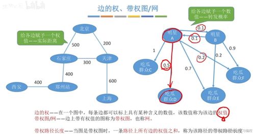 圖數據結構學習指南 從基礎概念到軟件技術服務應用